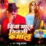 Bhanu Pratap