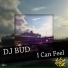DJ Bud