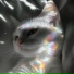 moonz