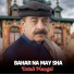 Ustad Mangal