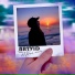 ARTVID