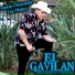 Ricardo Cerda El Gavilan