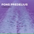 Pons Predelius