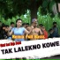 Shinta Gisul feat. Raja Panci