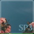 SP3 Project