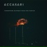 Accasari