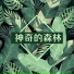 森林歌曲