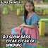 Alika Shahila