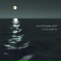 Auto-Pilot