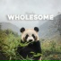 Panda Spa, Panda Sleep, Panda Music