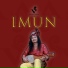 Salim Violin