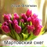 Серж Флагман