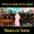Viorica de la Clejani, Ionita de la Clejani