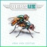 V.E.R.S.U.S