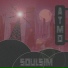 soulsim