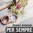 Ocean Animals