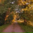 sunfade