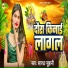 Sardha Suhani
