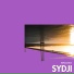 Sydji