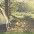 wake me up in spring