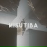 Knisbia