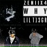 zeniix4, lil t13gr