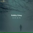 Bobby king