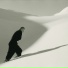 Lou Stene