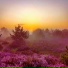 sunfade, солнце взойдёт