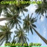 Cumbias Tropicales