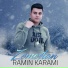 Ramin Karami