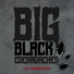Big Black Cockroaches