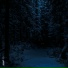Ilumetris, Tom Thorp