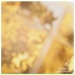 Chill Soul Labo, Tsunami Sounds