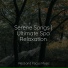 Meditation Music Club, Deep Sleep, Wellness