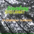 SENANDUNG SHOLAWAT