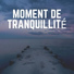 Musique Douce Ensemble