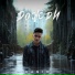 KaSim