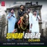Sushil Basoya feat. Pradeep Bhati