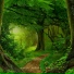 Nature Sounds Winds