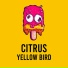 yellow bird