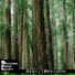 Soothing Sound Society