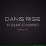 Danis Rise