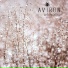 Aviron
