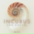 Can Kartal