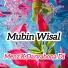 Mubin Wisal