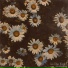 bloomtales