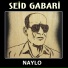Seid Gabari