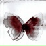 MALICE