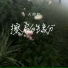 大图钉